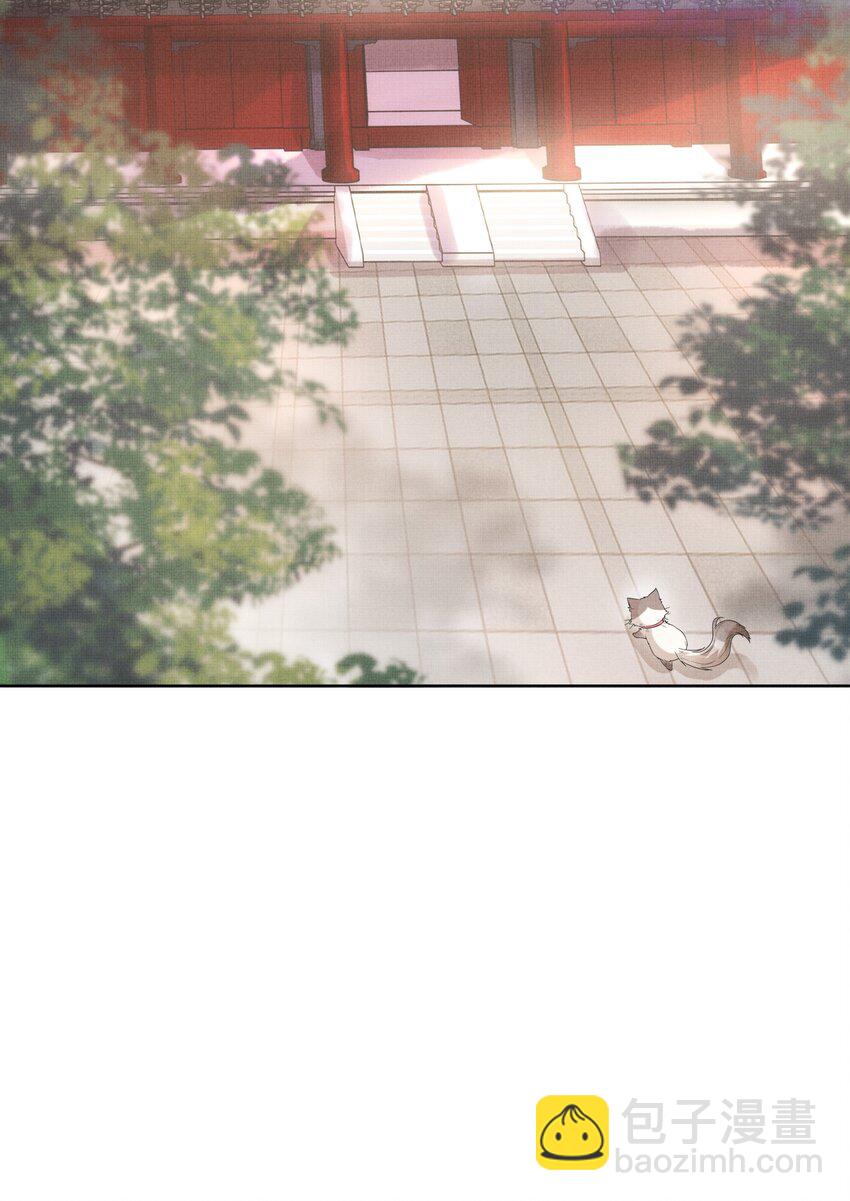 11 师尊，你就是我们想跟随的女人！(1/2)-第14话