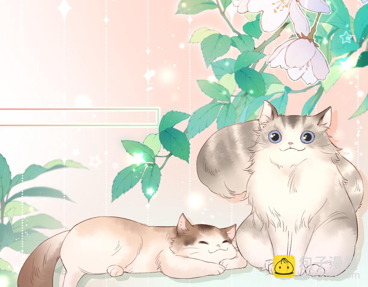 第69话 直播创作(1/2)-第70话