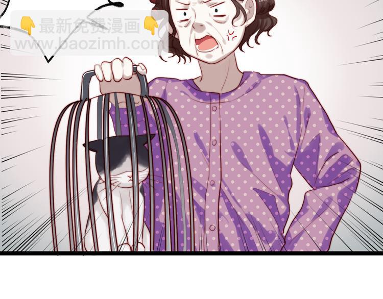 第7话 被玷污的猫(1/2)-第8话