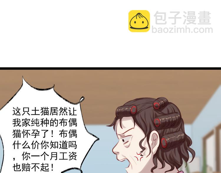 第7话 被玷污的猫(1/2)-第8话