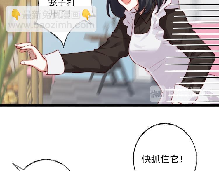 第7话 被玷污的猫(1/2)-第8话