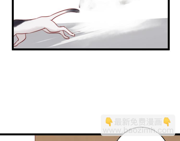 第7话 被玷污的猫(1/2)-第8话