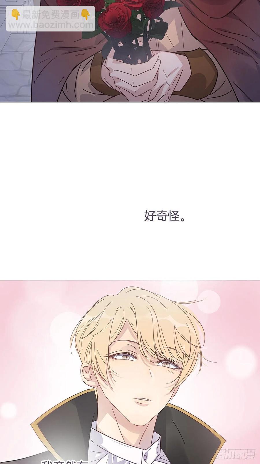 番外6 吸血鬼的玫瑰-第48话