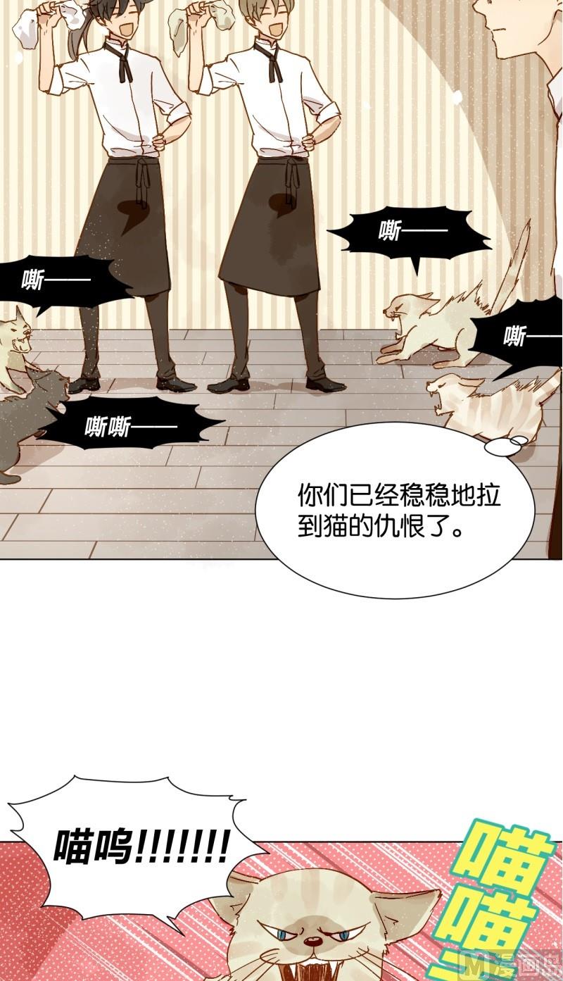 第08话 人猫大战-第8话