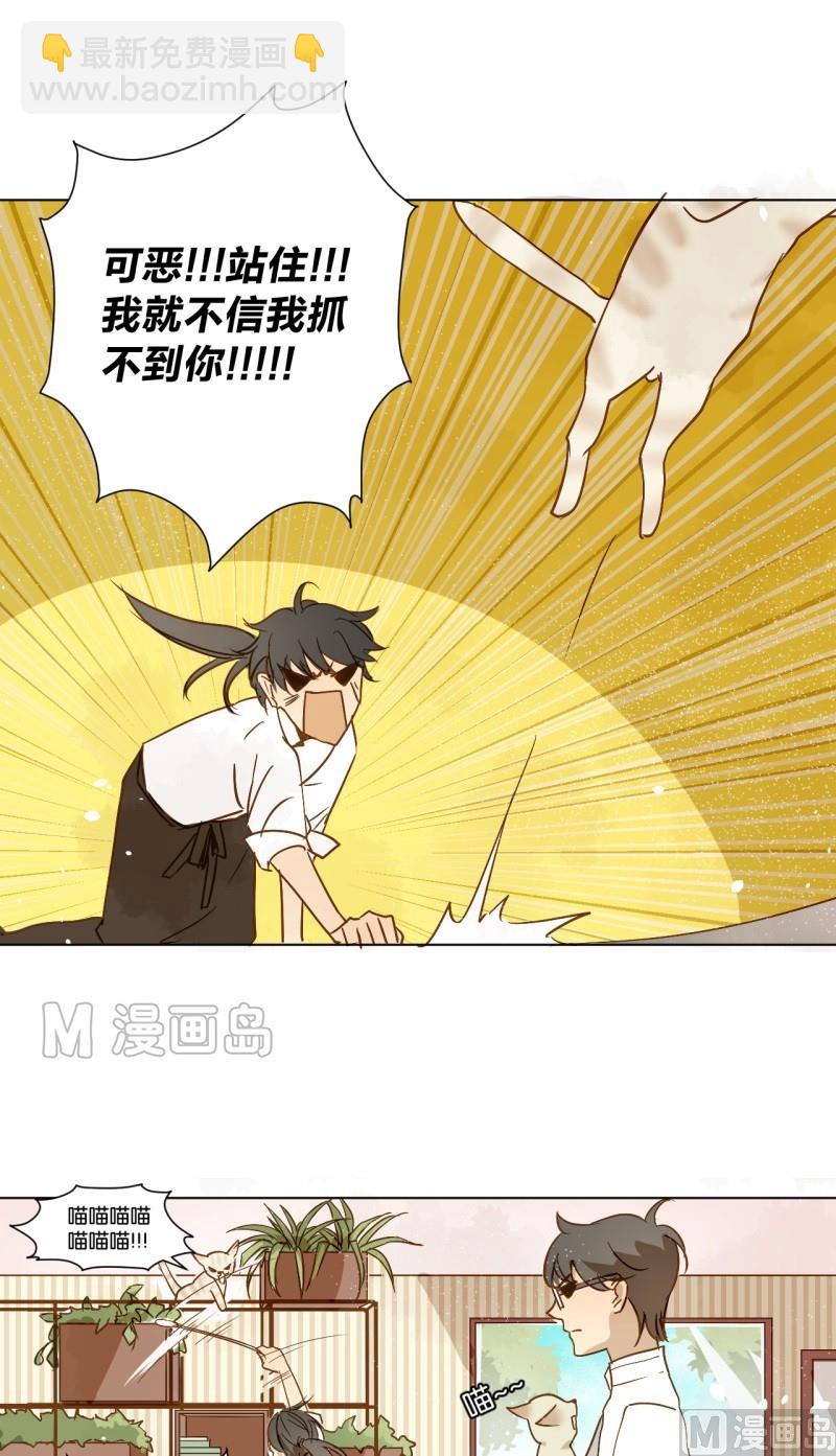 第08话 人猫大战-第8话