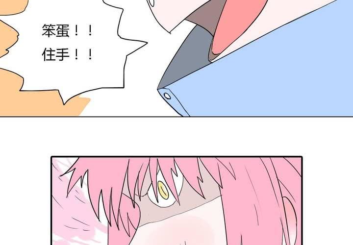 第三十九话 最后的战役-第40话