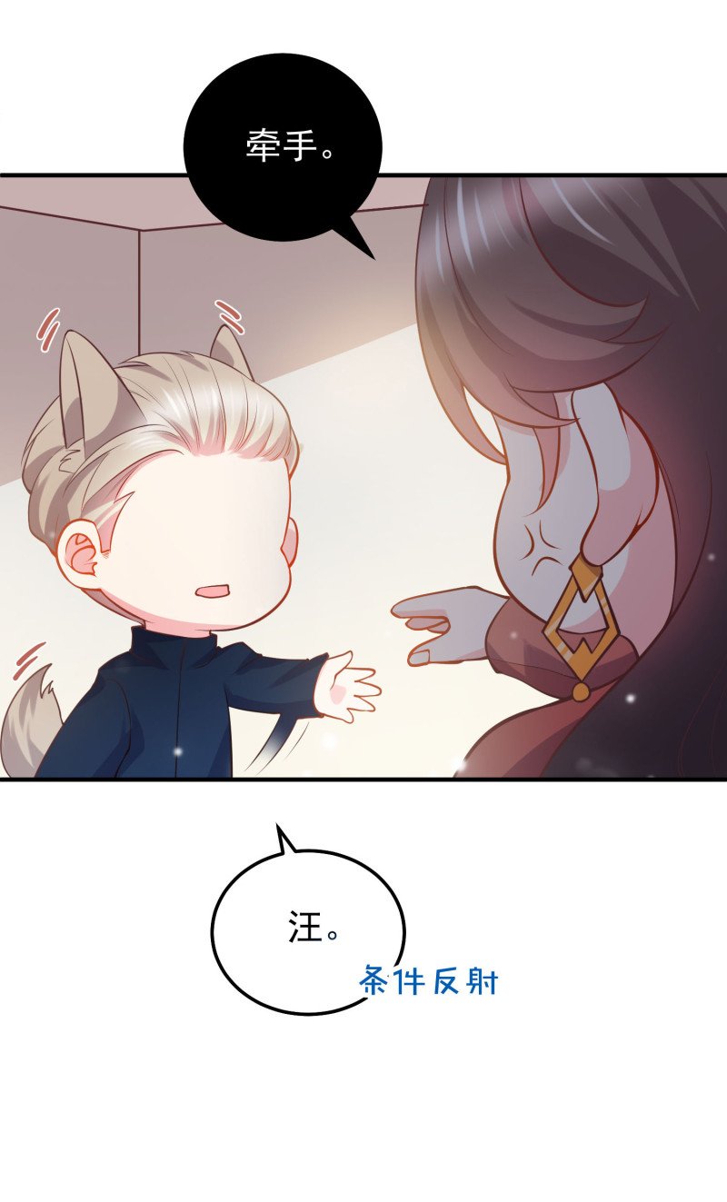 第36话 小狼狗vs小奶狗-第36话