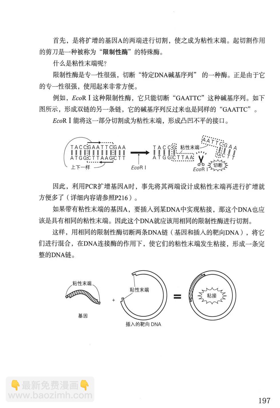 欧姆社学习漫画 - 分子生物学(5/5) - 6