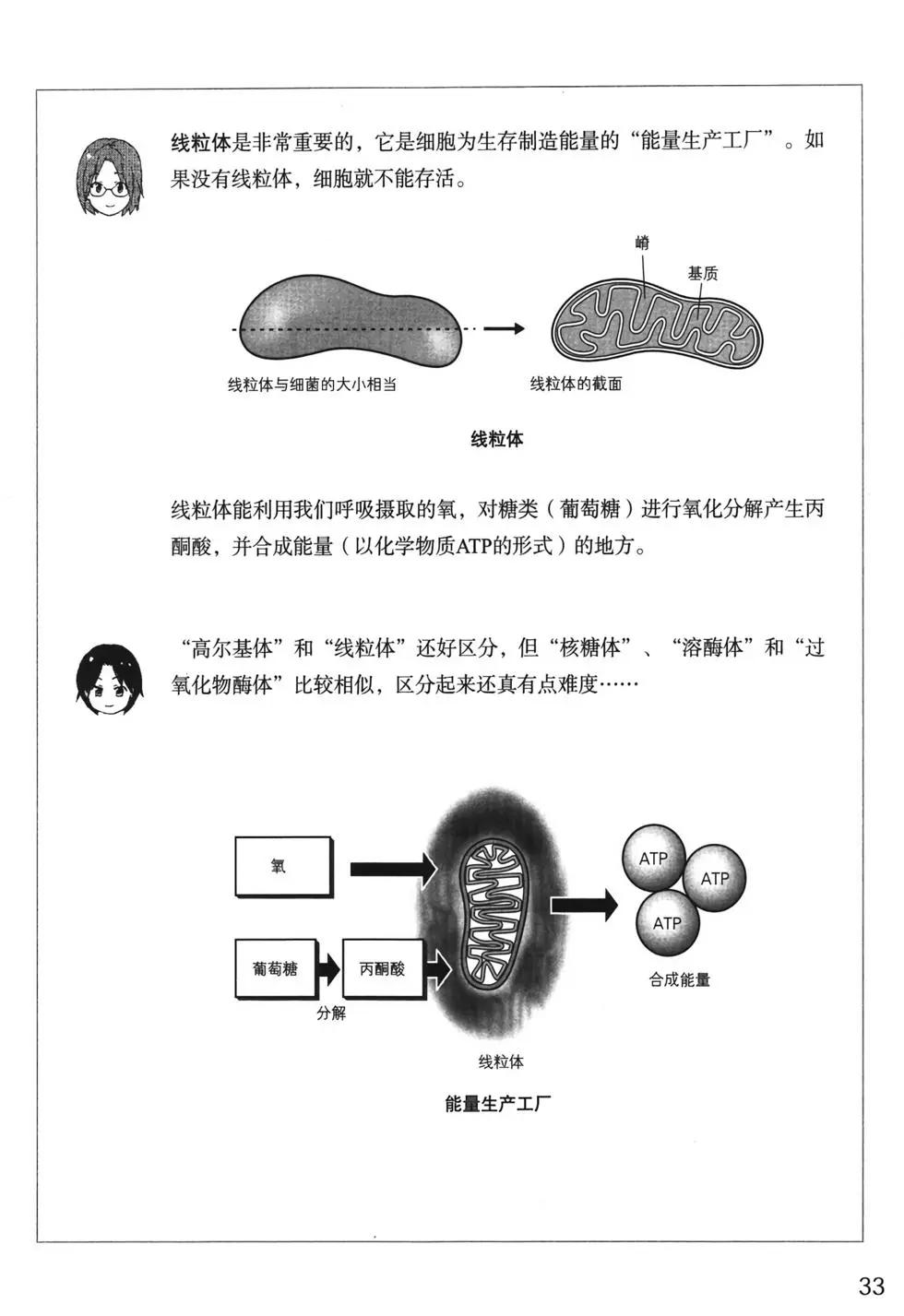 欧姆社学习漫画 - 分子生物学(1/5) - 8