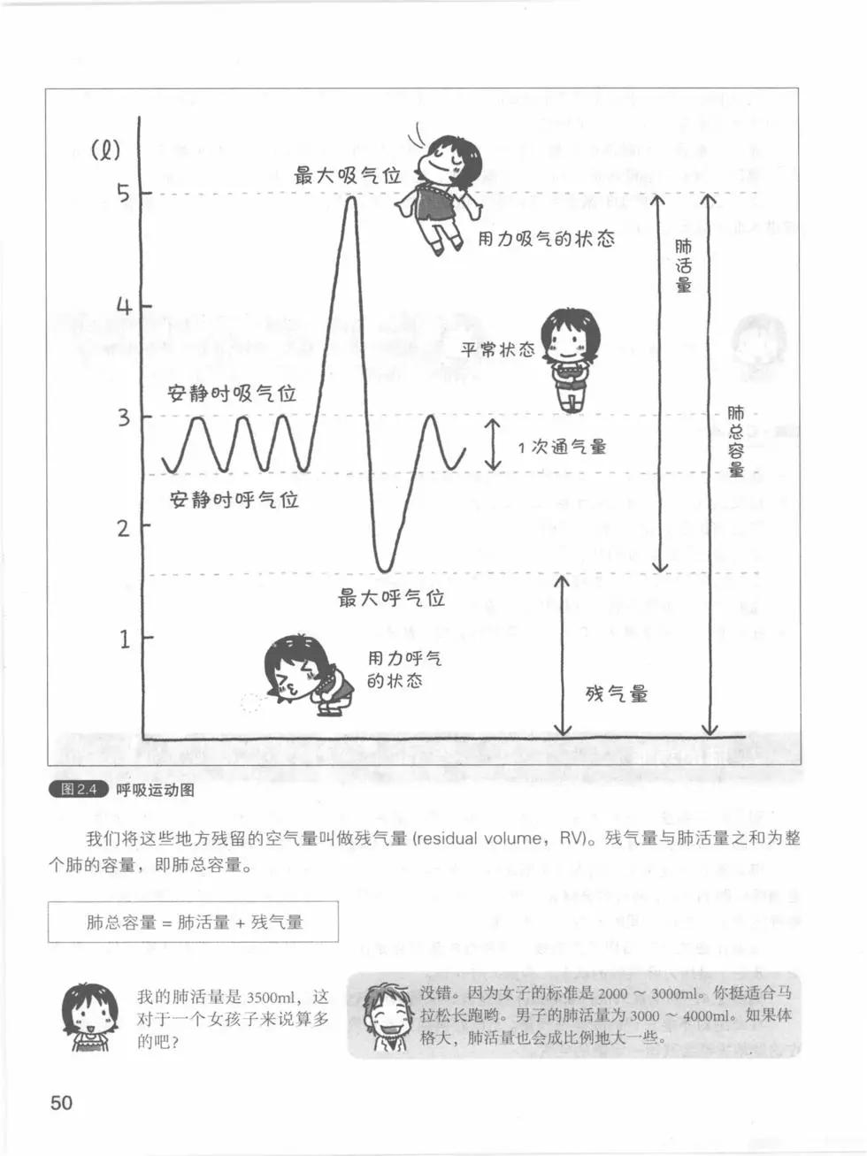 欧姆社学习漫画 - 生理学(2/5) - 4