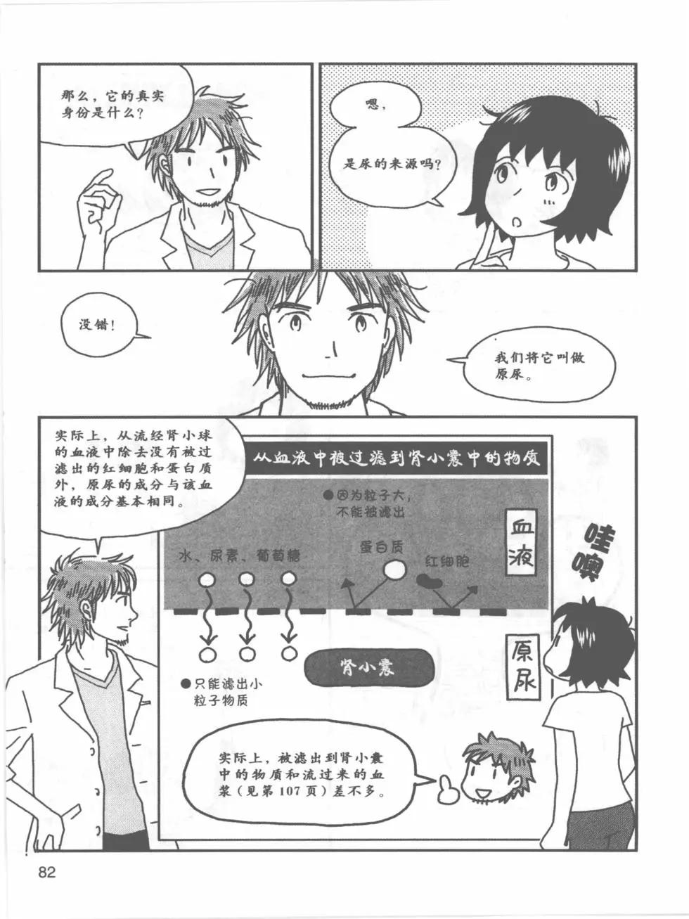 欧姆社学习漫画 - 生理学(2/5) - 4