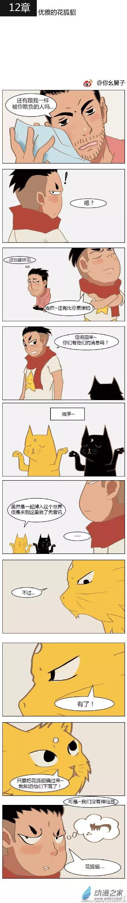 第12回 优雅的花狐貂-第12话