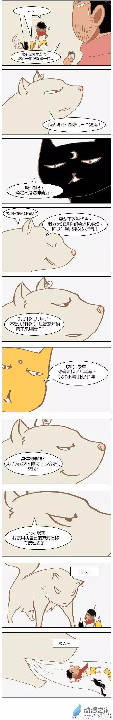 第12回 优雅的花狐貂-第12话