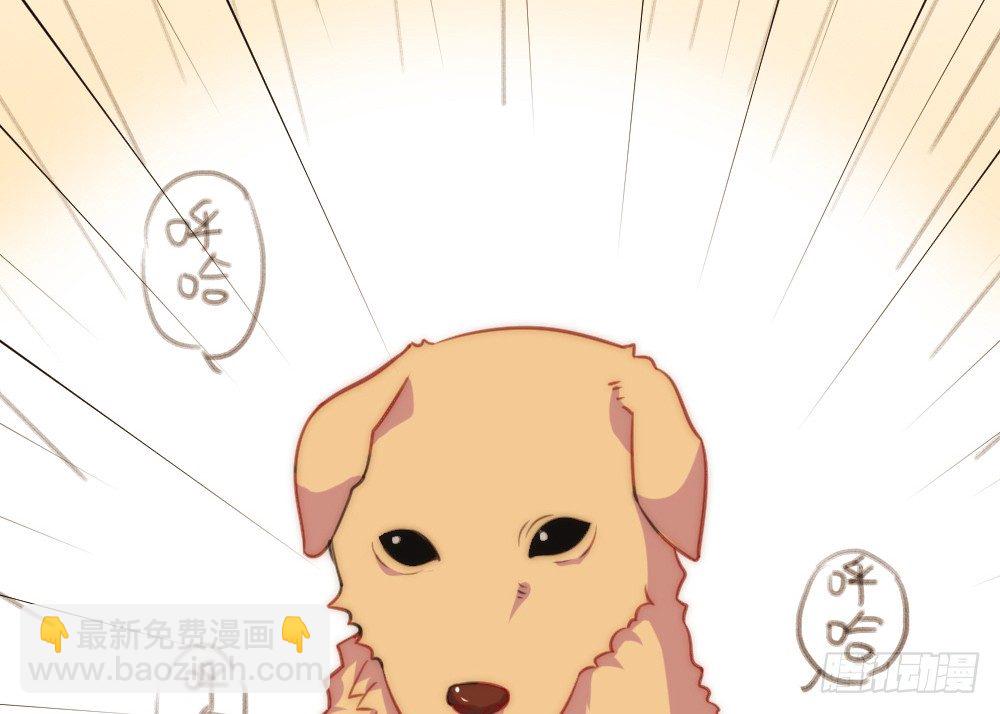 【番外】当男朋友变成宠物（一）(1/2)-第70话