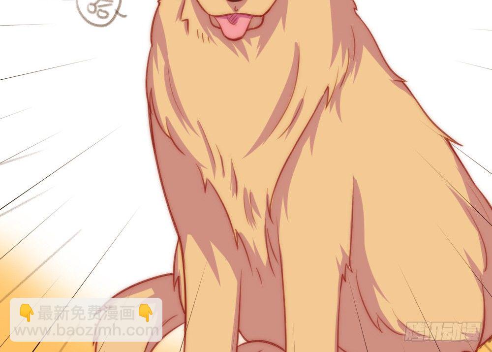 【番外】当男朋友变成宠物（一）(1/2)-第70话