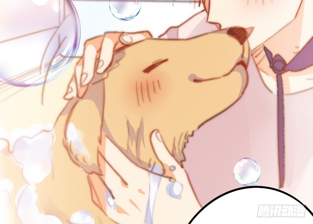 【番外】当男朋友变成宠物（一）(1/2)-第70话