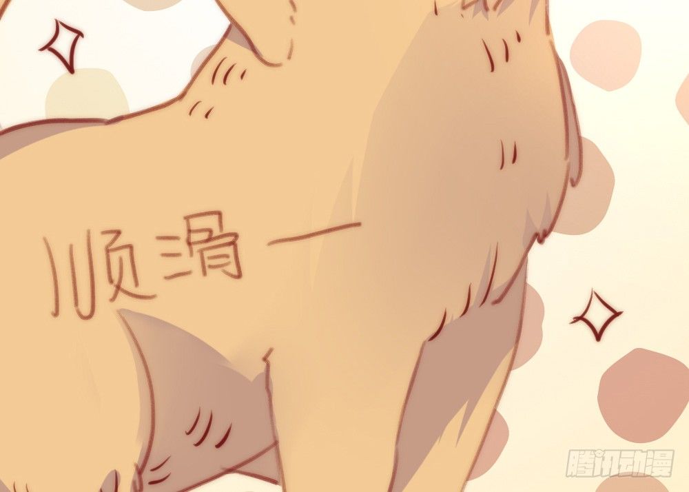 【番外】当男朋友变成宠物（一）(1/2)-第70话