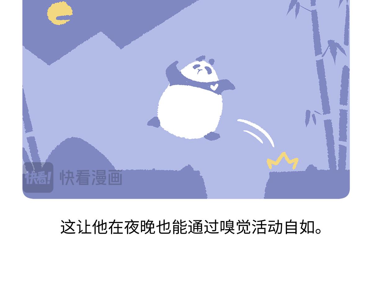 胖達x胖達 - 第183話 - 5