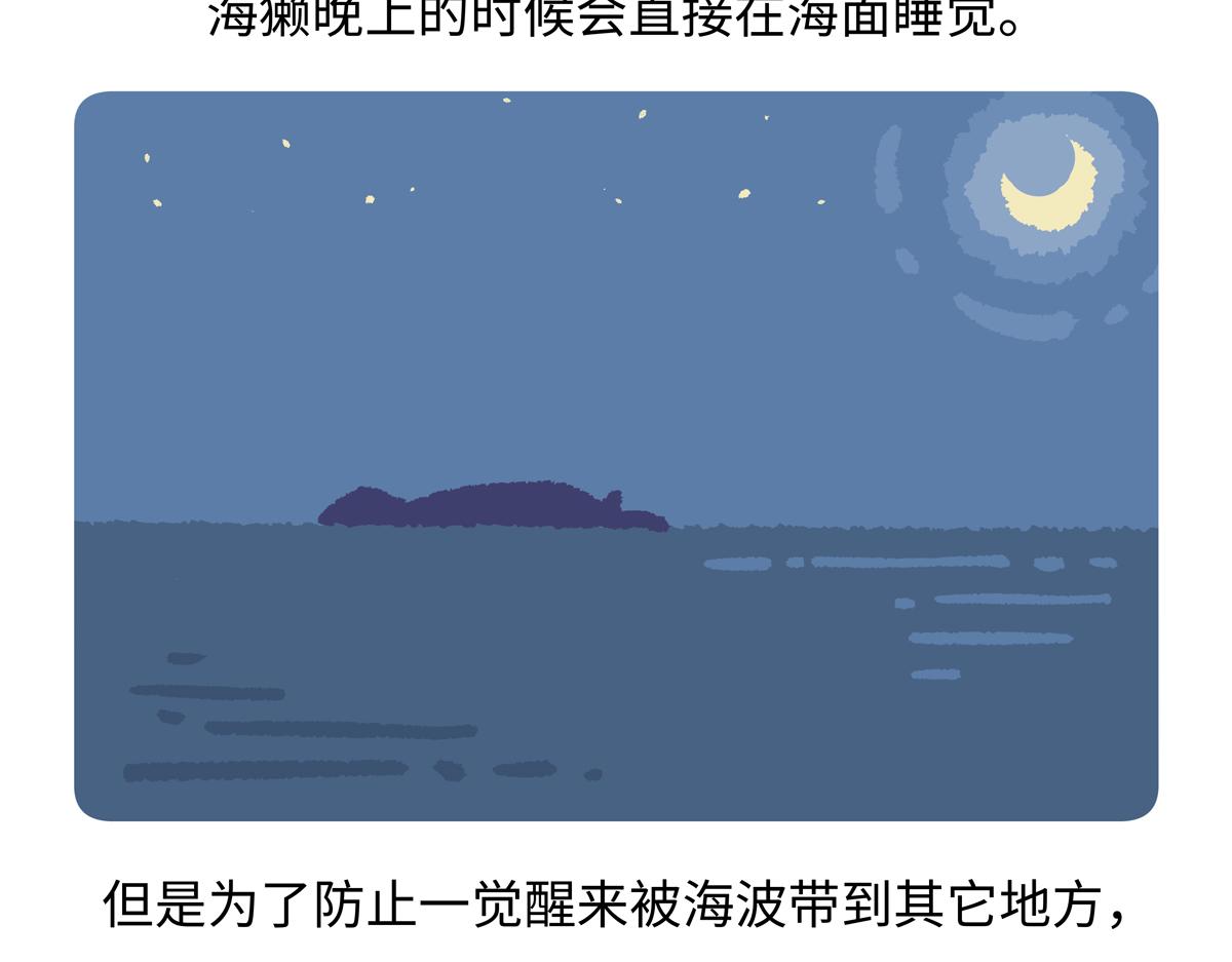 胖達x胖達 - 第207話 - 2