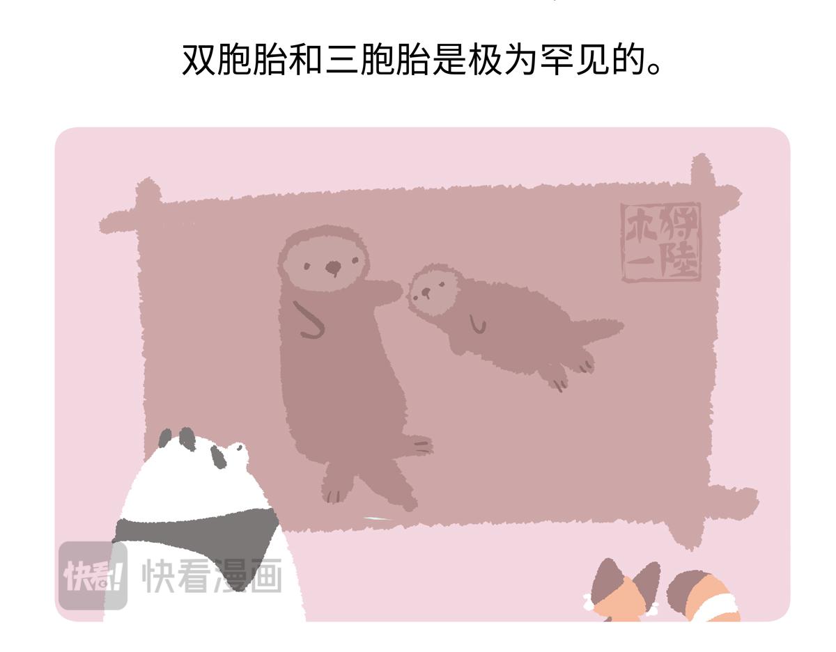 胖達x胖達 - 第207話 - 4