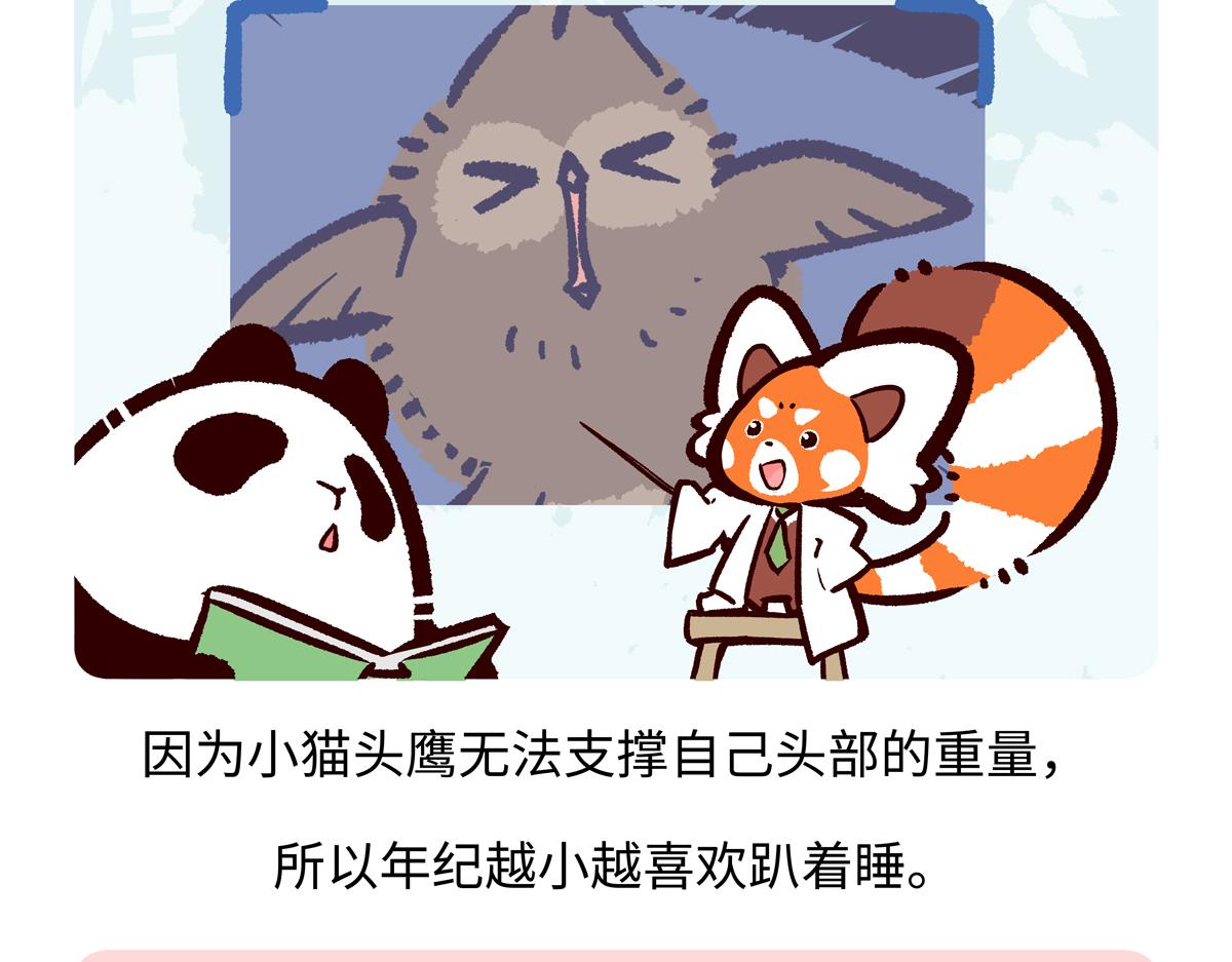 胖達x胖達 - 第223話 - 5