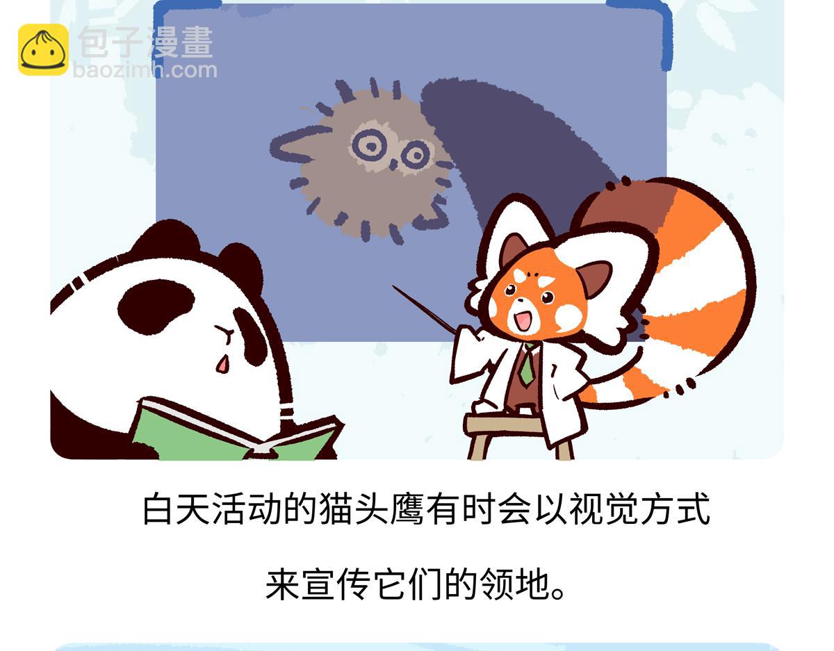 胖達x胖達 - 第223話 - 4
