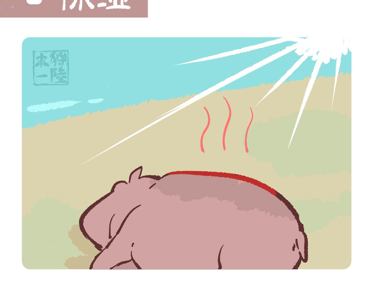 第241话11