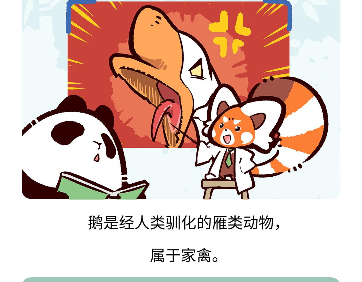 胖達x胖達 - 第261話 - 2