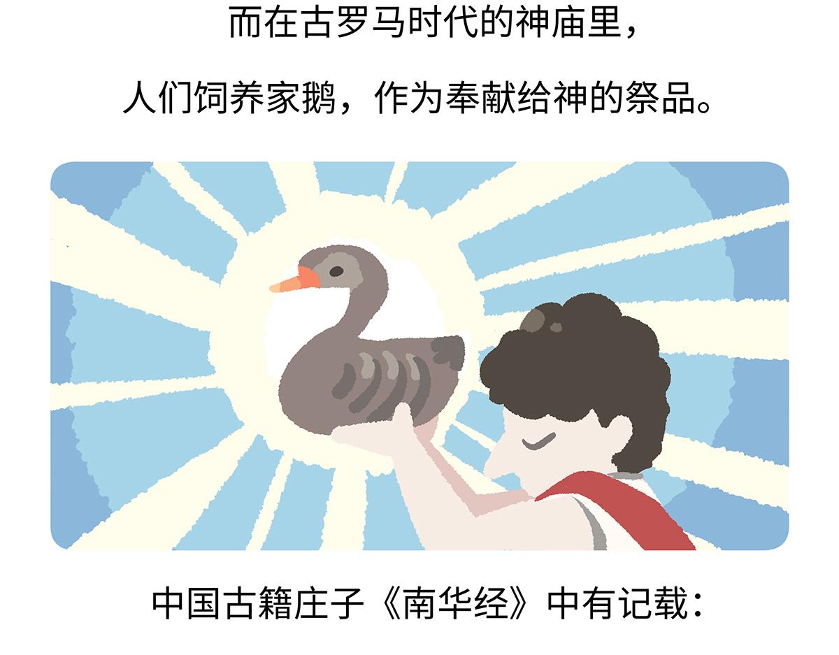 胖達x胖達 - 第261話 - 5