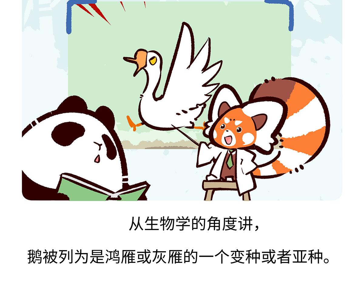 胖達x胖達 - 第261話 - 3