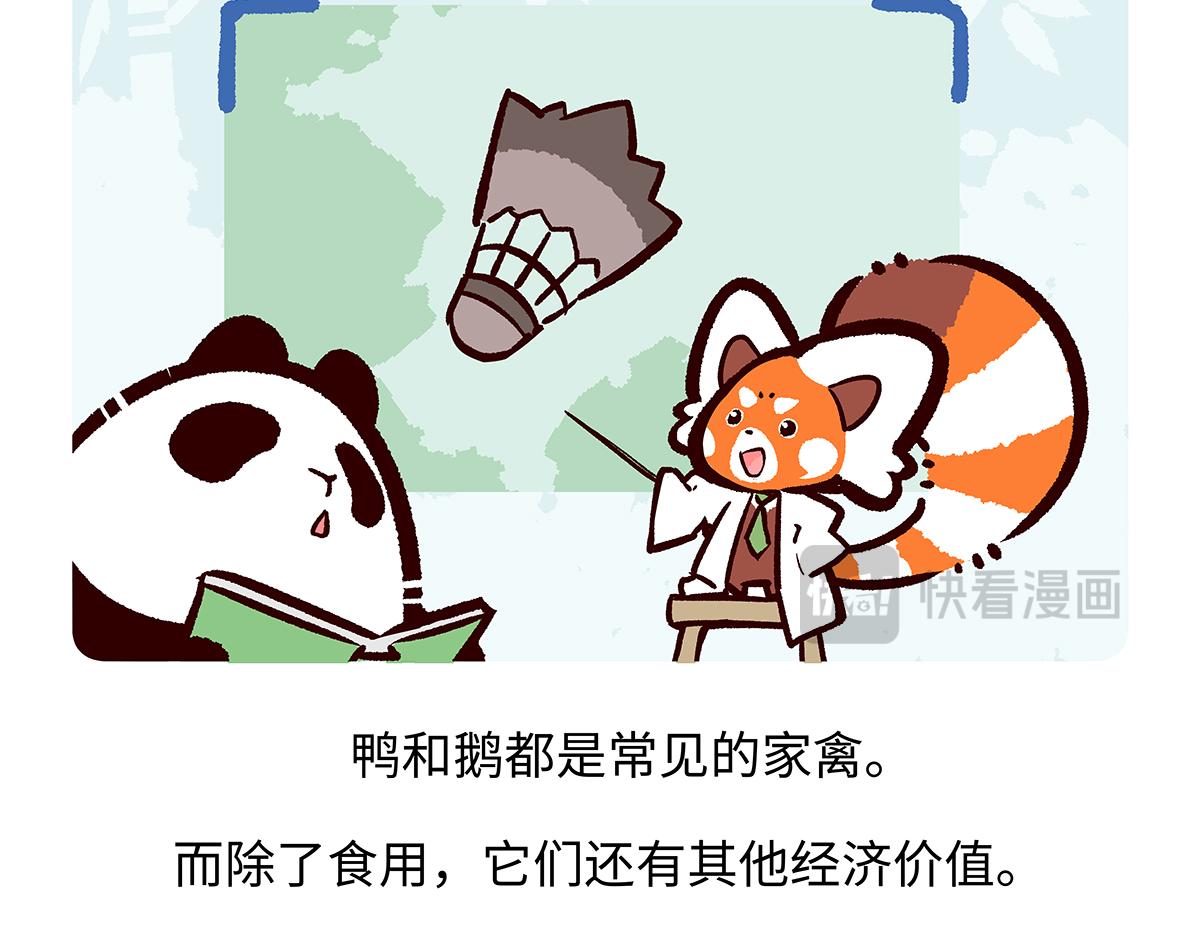 胖達x胖達 - 第261話 - 4