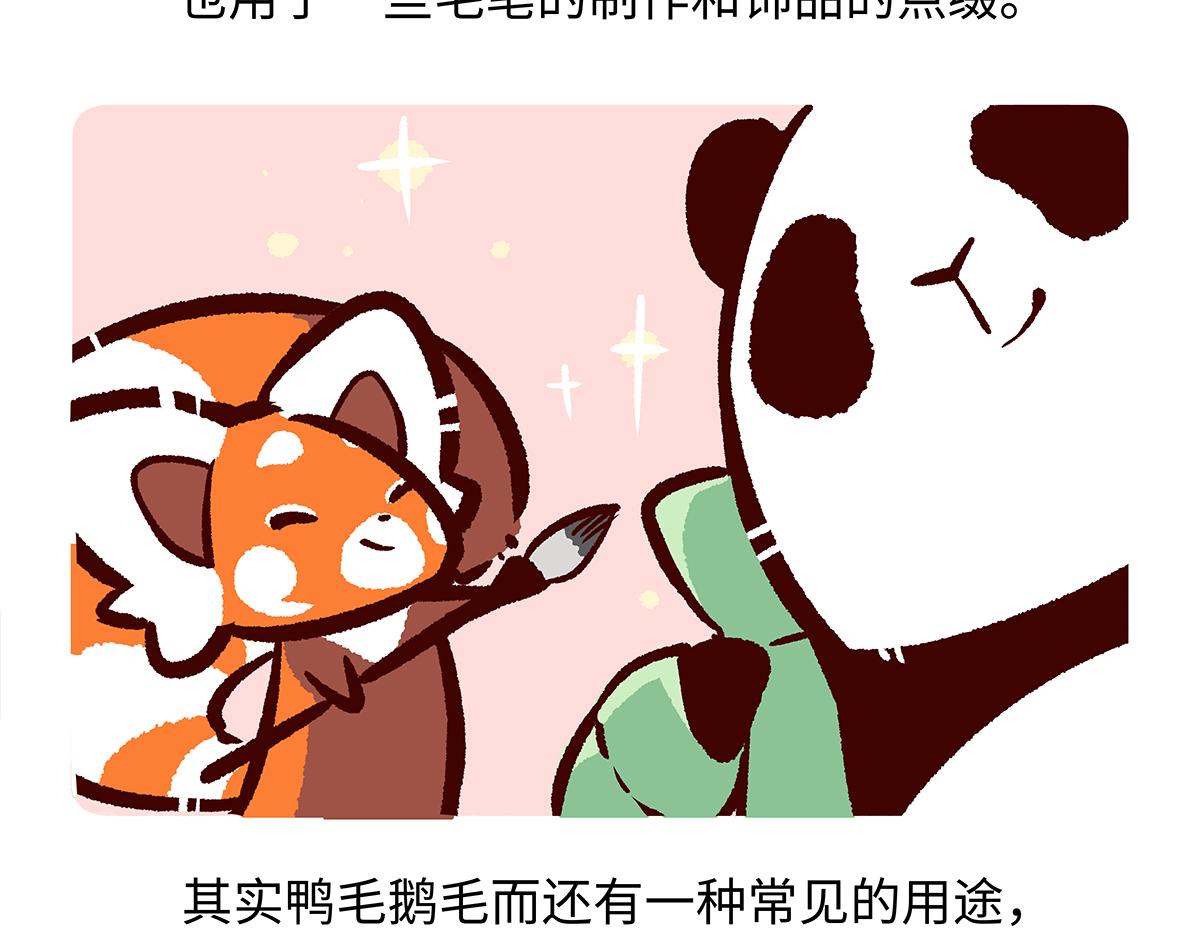 胖達x胖達 - 第261話 - 6