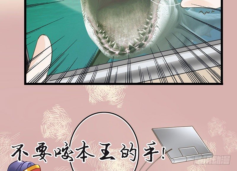 第44话 狸猫的日常（1）(1/2)-第46话