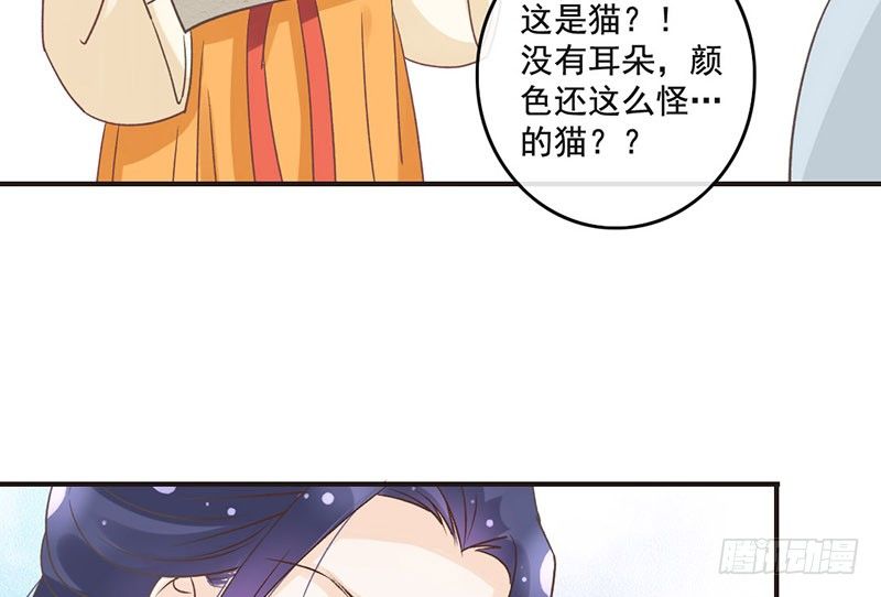 第48话 灯会(1/2)-第50话