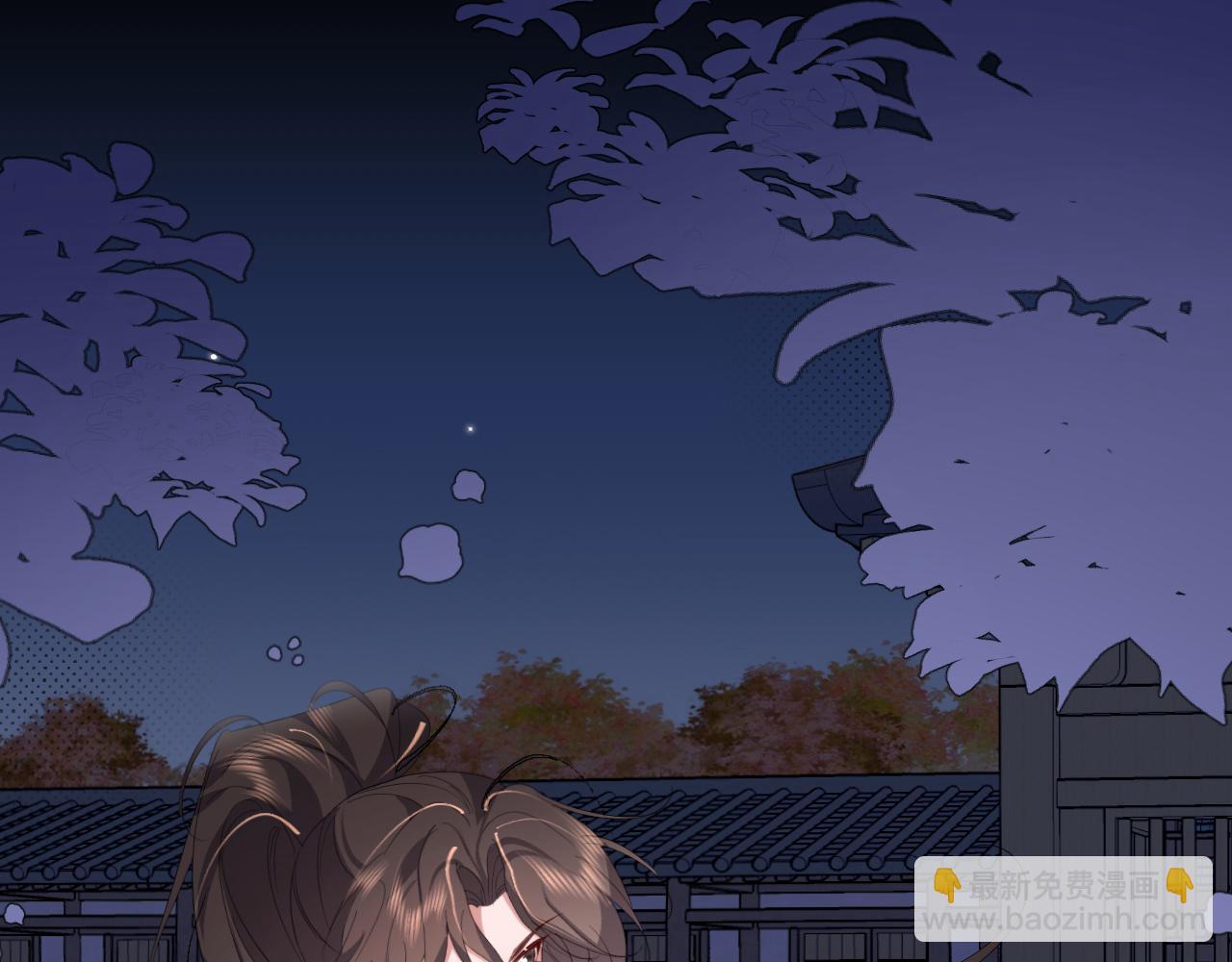 炮灰閨女的生存方式 - 第339話 暗殺(1/2) - 3