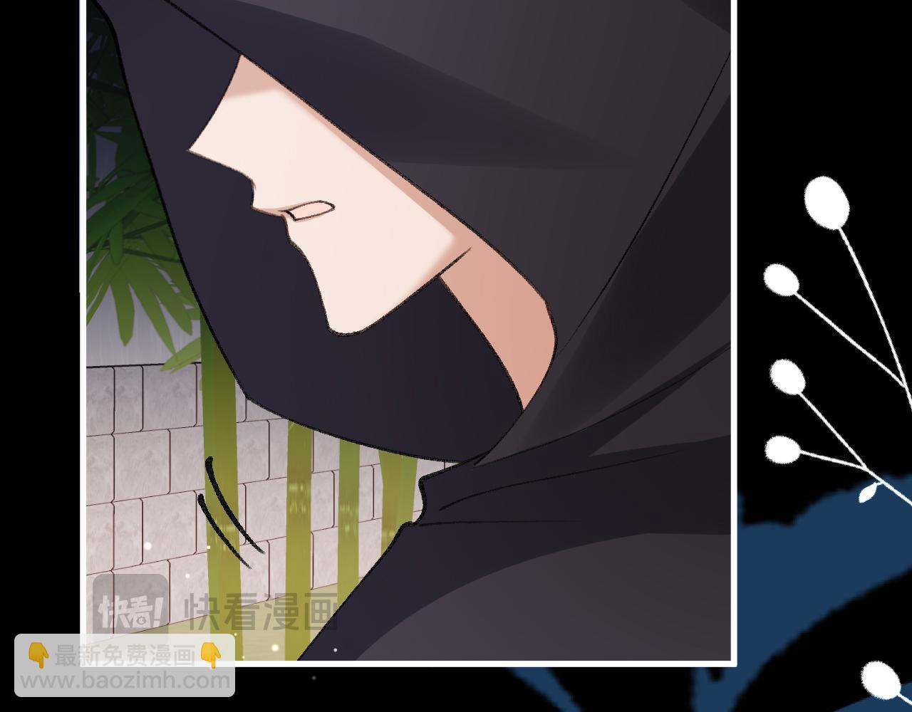 炮灰閨女的生存方式 - 第376話 黑衣人(1/2) - 6