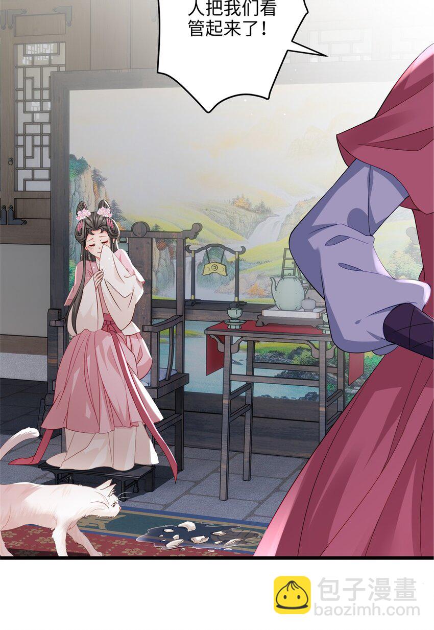 14 这白莲味我熟啊！-第14话