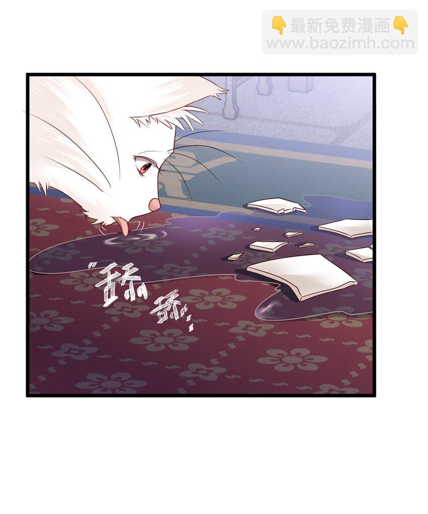 14 这白莲味我熟啊！-第14话