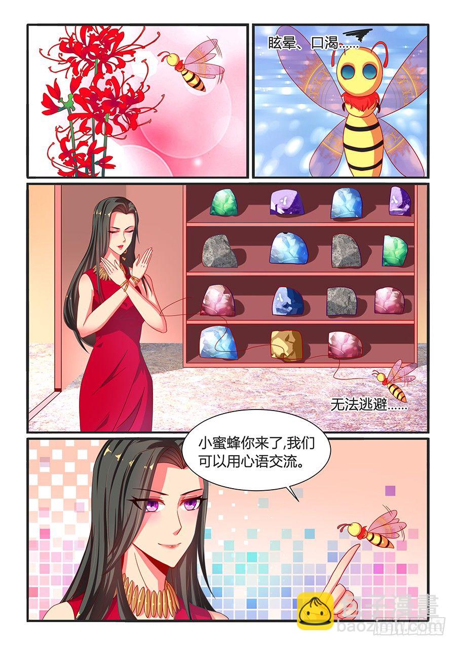 生死藏宝厅（上）-第20话