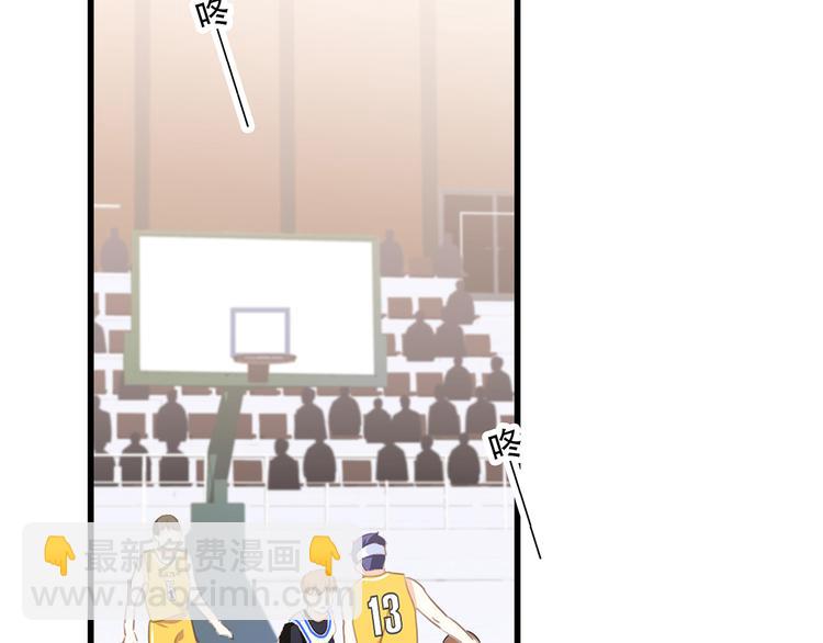 213.jpg