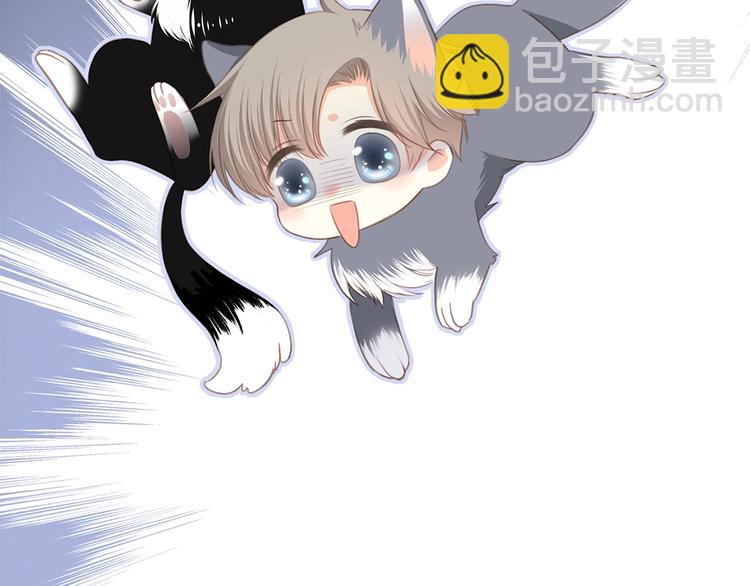 141.jpg