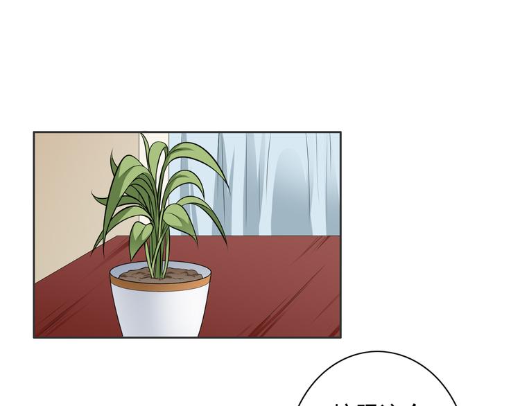 第11话(1/2)-第12话