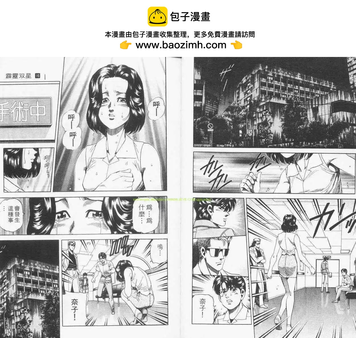 霹靂雙星 - 第16卷(1/3) - 5