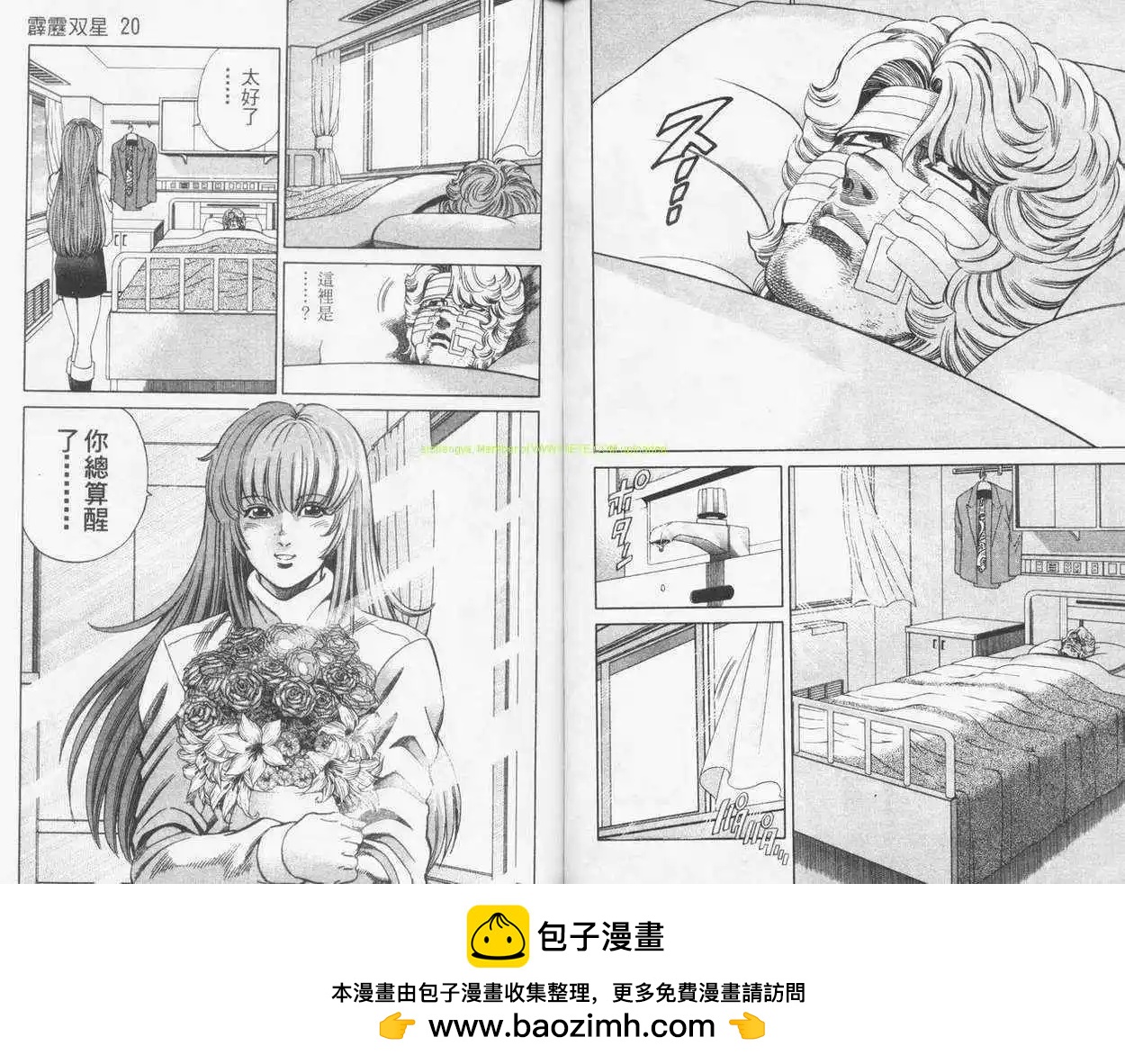 霹靂雙星 - 第20卷(1/2) - 2