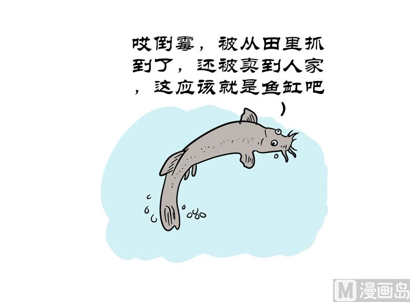 泥鳅回家-第50话