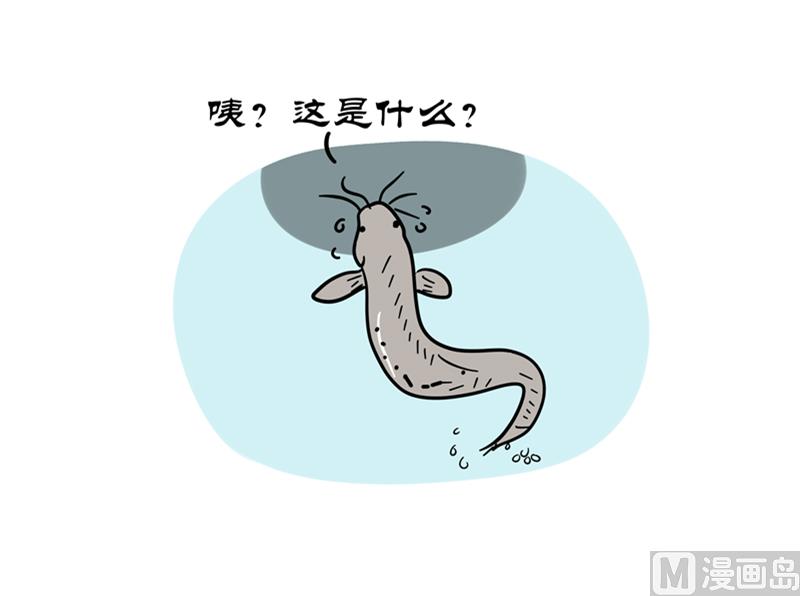 泥鳅回家-第50话