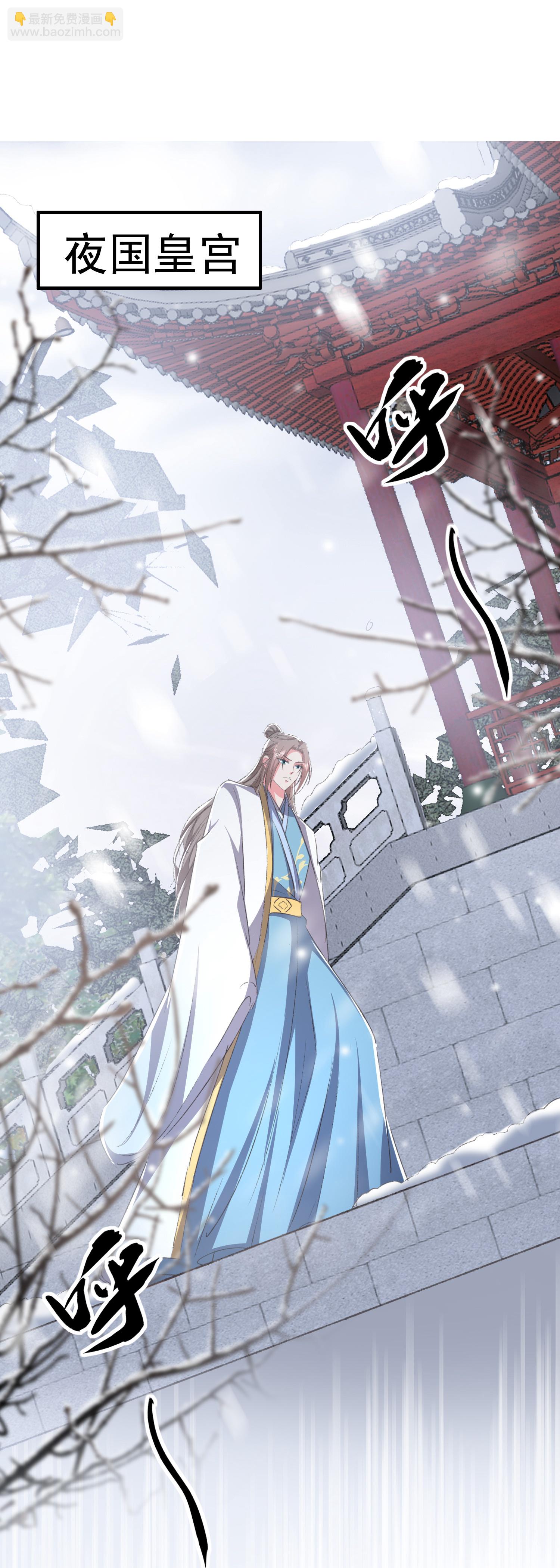 壞心王爺別惹我 - 第299話 關心則亂 - 1