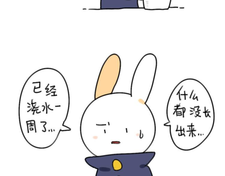 第30话：一只不按套路出牌的兔-第30话