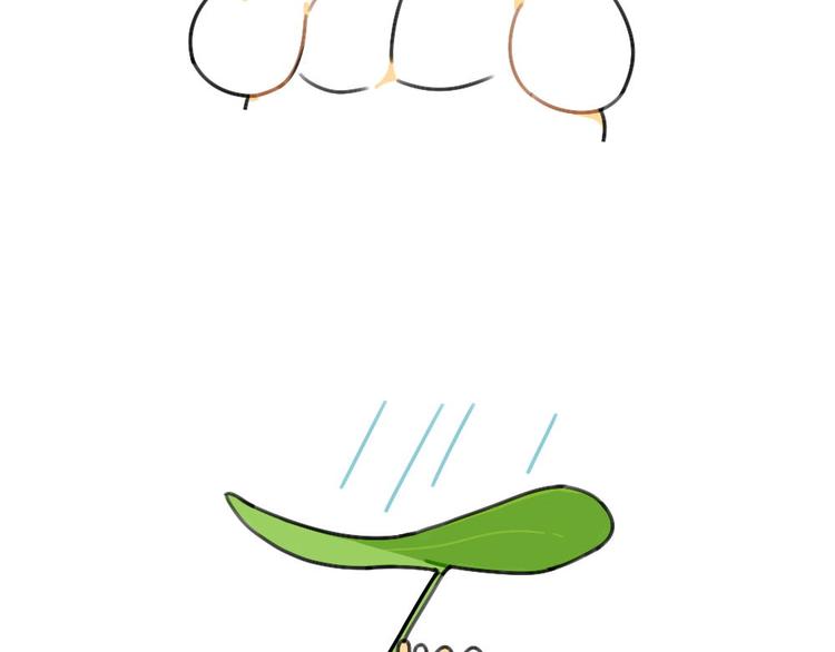 第40话：雨天不怕，我有花花-第40话