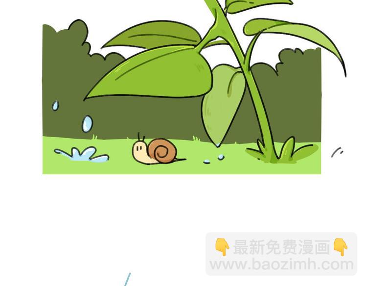 第40话：雨天不怕，我有花花-第40话